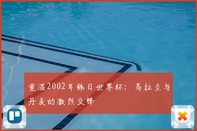 重温2002年韩日世界杯:乌拉圭与丹麦的激烈交锋