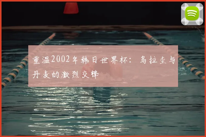 重温2002年韩日世界杯:乌拉圭与丹麦的激烈交锋
