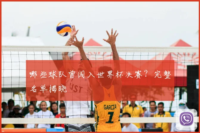 哪些球队曾闯入世界杯决赛？完整名单揭晓