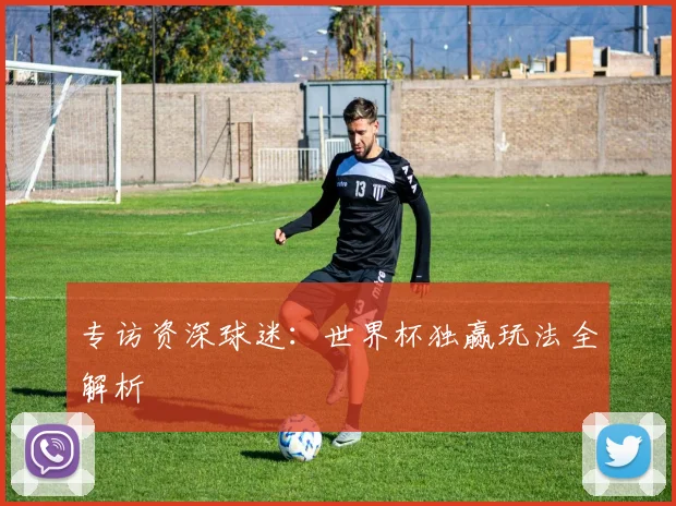 专访资深球迷：世界杯独赢玩法全解析
