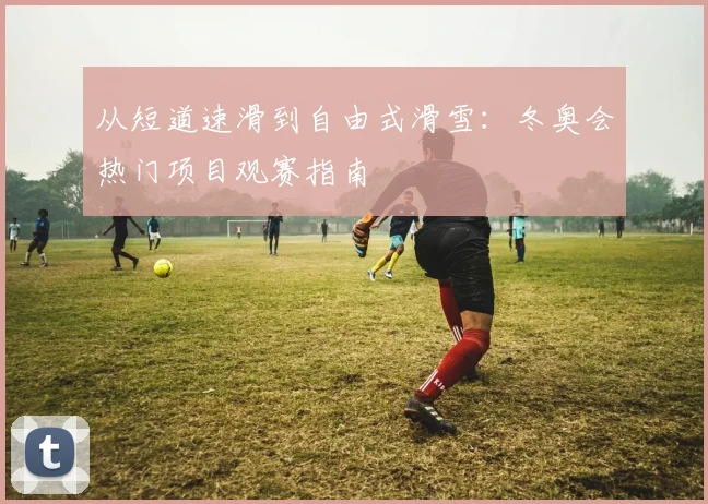 从短道速滑到自由式滑雪：冬奥会热门项目观赛指南