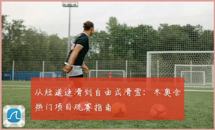 从短道速滑到自由式滑雪：冬奥会热门项目观赛指南
