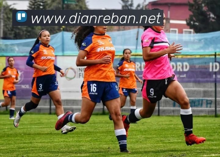 世界杯直播入口官网APP 封面图